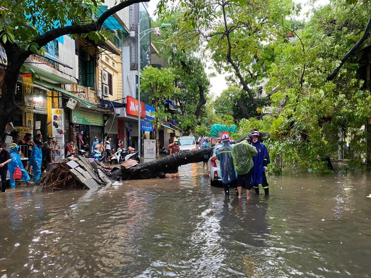 Cây xà cừ bật gốc trong mưa đè vào 1 tô tô trên phố Hàng Chiếu - Ảnh 3. Cây xà cừ bật gốc trong mưa đè vào 1 tô tô trên phố Hàng Chiếu - Ảnh 3.