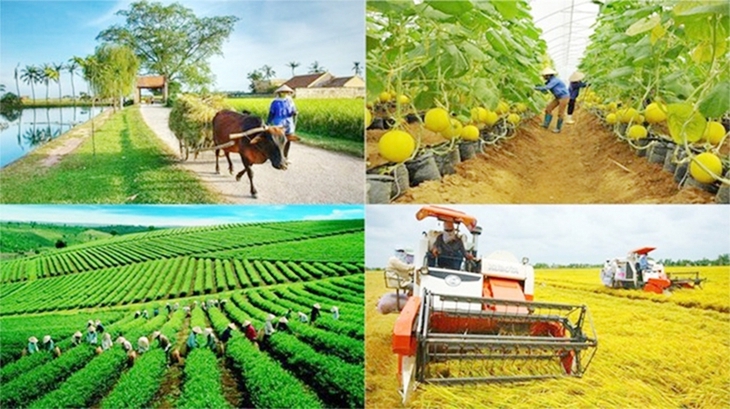Giao kế hoạch vốn cho các địa phương thực hiện 3 chương trình MTQG - Ảnh 2. Giao kế hoạch vốn cho các địa phương thực hiện 3 chương trình MTQG - Ảnh 2.