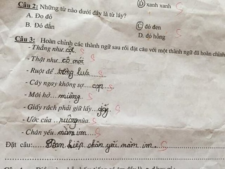 Học sinh cấp 1 làm bài tập tiếng Việt, mới câu đầu tiên mà phụ huynh đã "cười ngất tới 3 ngày" - Ảnh 4.
