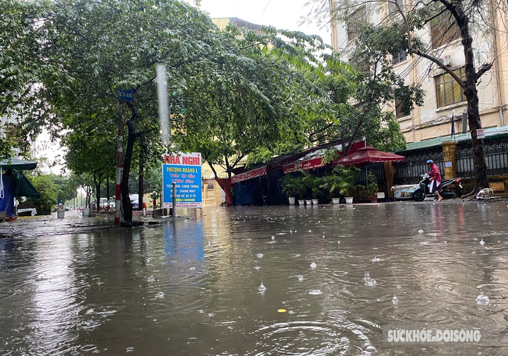 Cây xà cừ bật gốc trong mưa đè vào 1 tô tô trên phố Hàng Chiếu - Ảnh 7. Cây xà cừ bật gốc trong mưa đè vào 1 tô tô trên phố Hàng Chiếu - Ảnh 7.