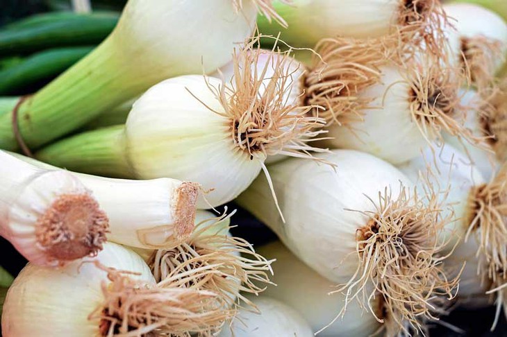 Những lưu ý khi lựa chọn, bảo quan, sử dụng hành lá - Ảnh 5.