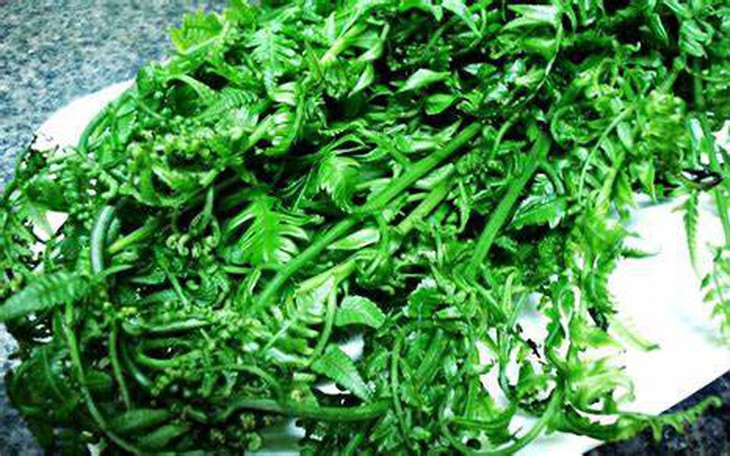 10 lợi ích sức khỏe của lá dương xỉ