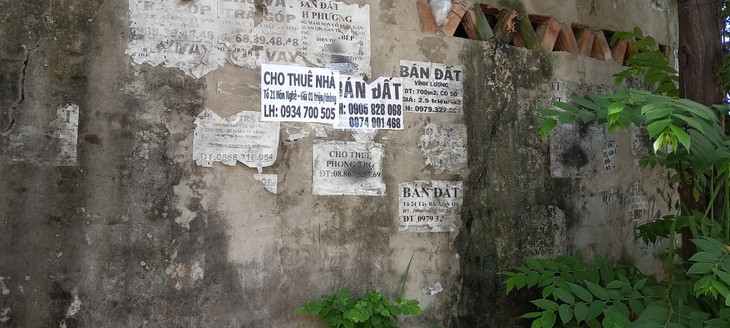 Khánh Hòa: Rừng cây nhan nhãn biển rao bán đất - Ảnh 5. Khánh Hòa: Rừng cây nhan nhãn biển rao bán đất - Ảnh 5.