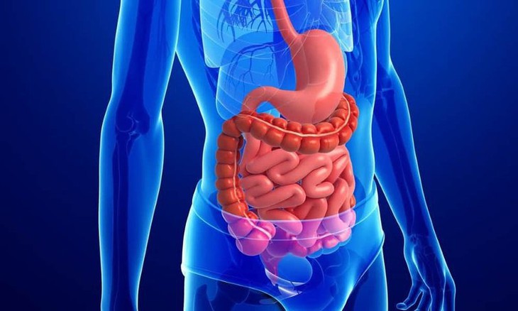 Hệ tiêu hoá khoẻ mạnh là chìa khoá phòng tránh bệnh tật - Ảnh 3.