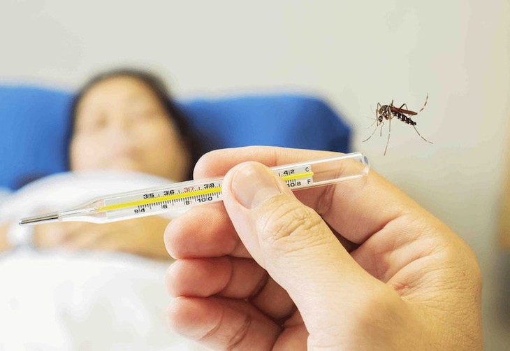 Sốt xuất huyết ở người lớn: Triệu chứng, biến chứng và cách xử trí đúng khi mắc sốt xuất huyết - Ảnh 1. Sốt xuất huyết ở người lớn: Triệu chứng, biến chứng và cách xử trí đúng khi mắc sốt xuất huyết - Ảnh 1.