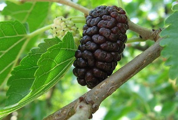 photo-1651800499008