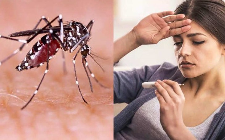 Sử dụng thuốc hạ sốt an toàn khi bà bầu mắc sốt xuất huyết