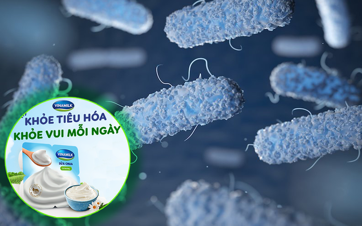 Vi khuẩn đường ruột: Tầm quan trọng đối với sức khỏe và bệnh tật