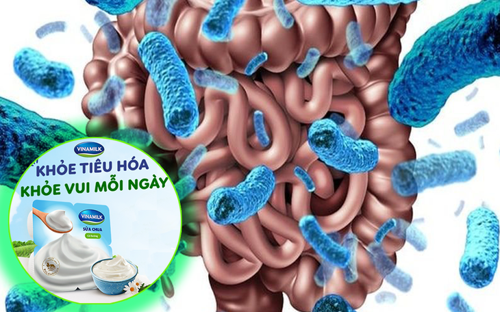 Những điều cần biết về hệ vi sinh vật đường ruột