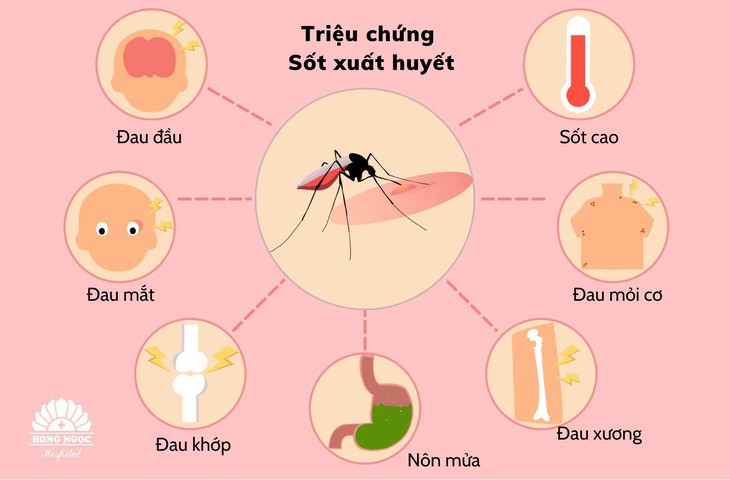 Sốt xuất huyết và những sai lầm cần tránh - Ảnh 2. Sốt xuất huyết và những sai lầm cần tránh - Ảnh 2.