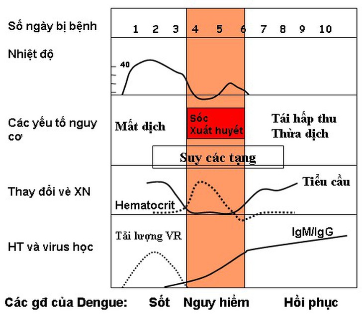Thời gian ủ bệnh sốt xuất huyết và khi nào cần nhập viện? - Ảnh 1.
