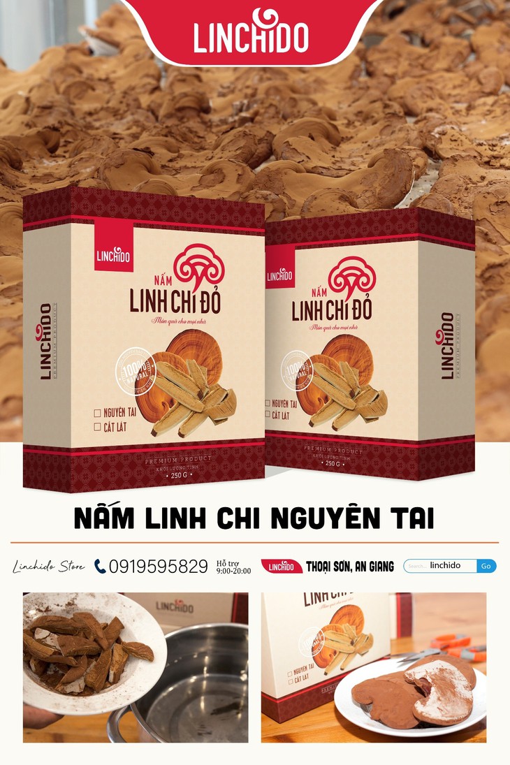 Hướng dẫn 8 cách sử dụng nấm linh chi chăm sóc sức khỏe - Ảnh 2.
