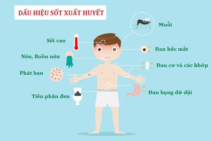 Sốc sốt xuất huyết ở trẻ - Dấu hiệu nhận biết và cách xử trí đúng - Ảnh 2.