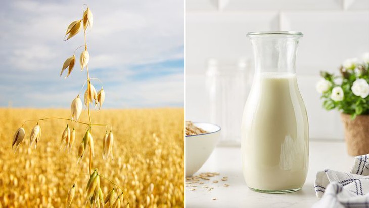 8 loại sữa khác nhau ảnh hưởng đến mức cholesterol của bạn như thế nào? - Ảnh 6. 8 loại sữa khác nhau ảnh hưởng đến mức cholesterol của bạn như thế nào? - Ảnh 6.
