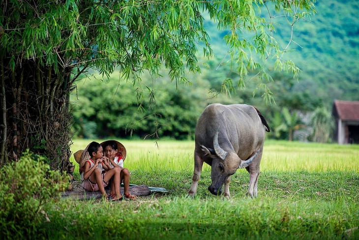 Hãy trả lại cho trẻ 3 tháng hè tuổi thơ! - Ảnh 1. Hãy trả lại cho trẻ 3 tháng hè tuổi thơ! - Ảnh 1.