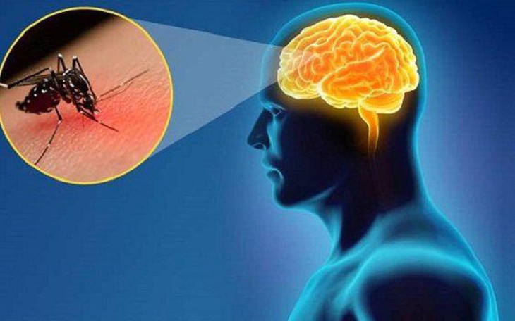 Người lớn có mắc viêm não Nhật Bản không?
