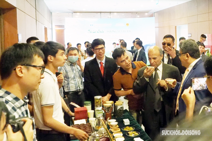 Lai Châu: Tìm giải pháp xuất khẩu trà vào Trung Đông và Bắc Phi, Nam Á - Ảnh 3.