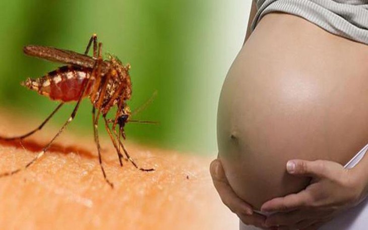 Phụ nữ mang thai có truyền virus Dengue gây bệnh sốt xuất huyết cho con không?