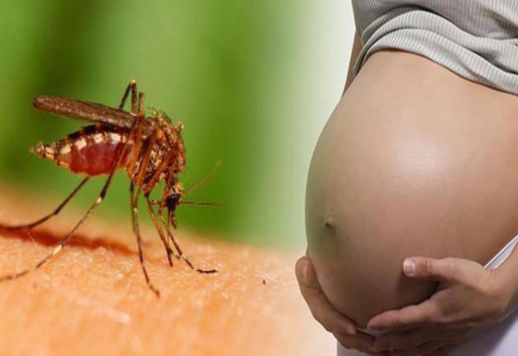Phụ nữ mang thai có thể truyền virus Dengue gây bệnh sốt xuất huyết cho con - Ảnh 1. Phụ nữ mang thai có thể truyền virus Dengue gây bệnh sốt xuất huyết cho con - Ảnh 1.