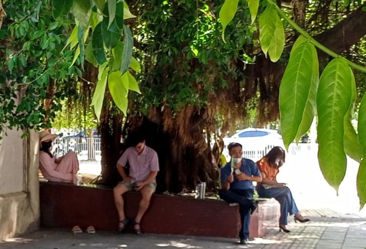 Chùm ảnh: Phụ huynh "đội nắng 40 độ C" ngóng con "vượt vũ môn" - Ảnh 15.
