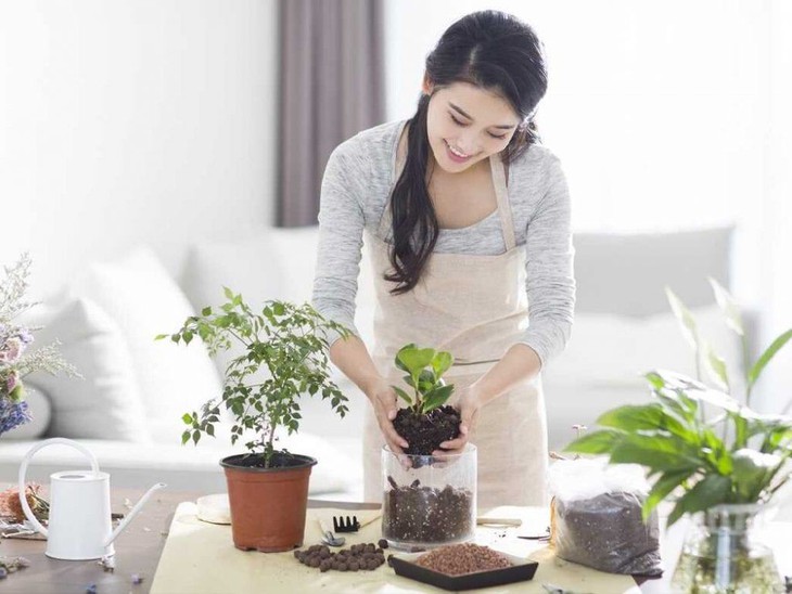 Các biện pháp có thể giúp điều hòa khi kinh nguyệt không đều - Ảnh 2.