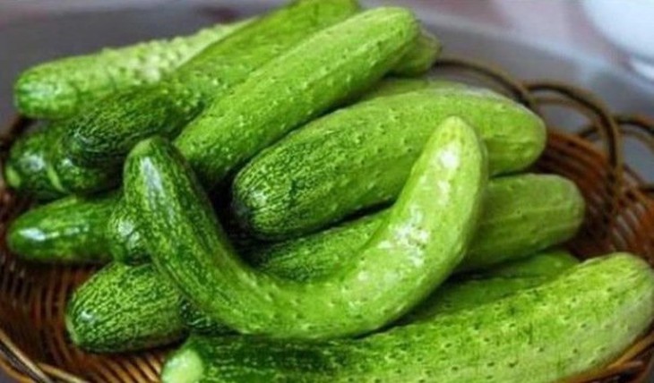 Lưu ý của bác sĩ khi ăn và bảo quản dưa chuột tránh gây các tác dụng không mong muốn - Ảnh 11.