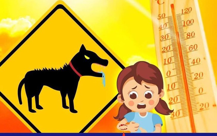 Nắng nóng đề phòng bệnh dại gia tăng
