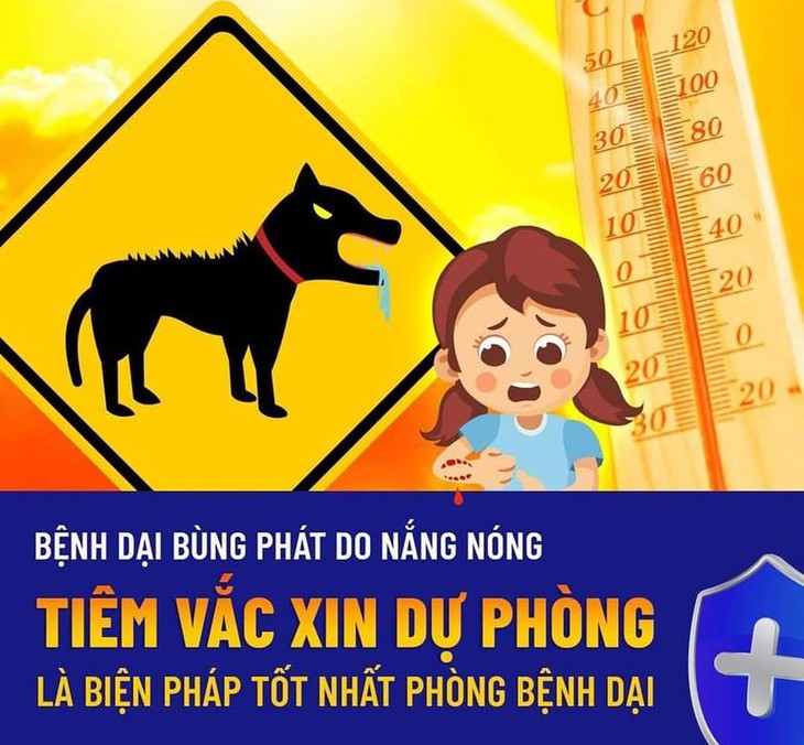 Nắng nóng đề phòng bệnh dại gia tăng - Ảnh 1.