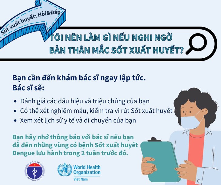 Hà Nội cảnh giác với sốt xuất huyết - Ảnh 2. Hà Nội cảnh giác với sốt xuất huyết - Ảnh 2.