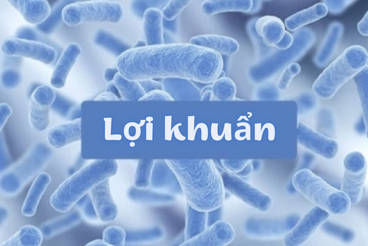 Hỗ trợ cải thiện rối loạn tiêu hóa nhờ men vi sinh từ Kim chi Hàn Quốc - Ảnh 1.