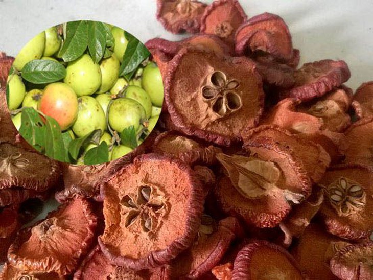 3 vị thuốc tốt cho hệ tiêu hóa - Ảnh 2.
