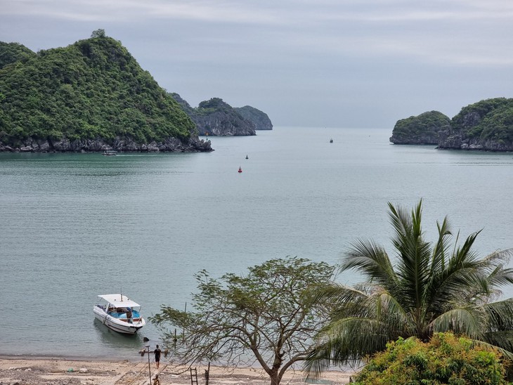 Kinh nghiệm khám phá food tour Hải Phòng  - Ảnh 15.
