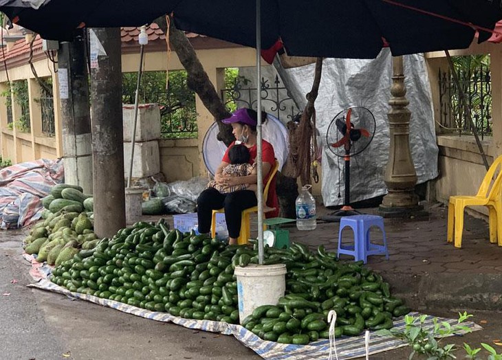 Loại quả được coi là 'siêu thực phẩm', chất đống trên vỉa   giá siêu rẻ nhưng vẫn ế - Ảnh 1.