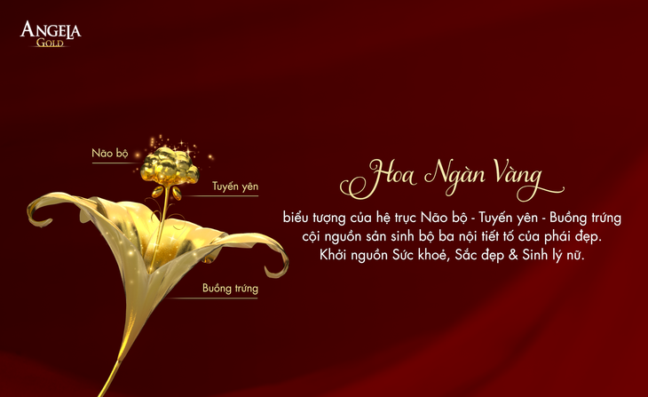 Điều phụ nữ ngoài 30 cần quan tâm để có cuộc sống hạnh phúc viên mãn - Ảnh 1. Điều phụ nữ ngoài 30 cần quan tâm để có cuộc sống hạnh phúc viên mãn - Ảnh 1.