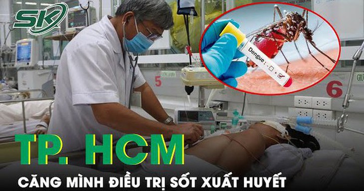 Ghi nhận 2.100 ca/ tuần: TP. HCM căng mình điều trị sốt xuất huyết