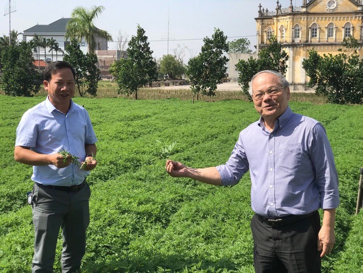 Nước giải khát thảo mộc vì sức khỏe người Việt - Ảnh 2.