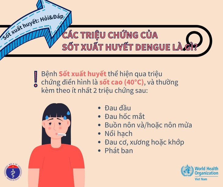 Đi du lịch khắp nơi, lúc về 'mang theo' cả sốt xuất huyết - Ảnh 5.