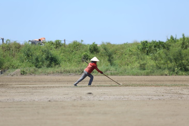 Diêm dân Hà Tĩnh "rang mình" trên đồng nước mặn - Ảnh 3. Diêm dân Hà Tĩnh "rang mình" trên đồng nước mặn - Ảnh 3.