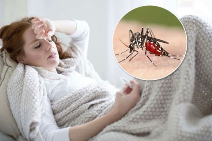 Sốt rét “nhập khẩu” có đáng lo? - Ảnh 1. Sốt rét “nhập khẩu” có đáng lo? - Ảnh 1.