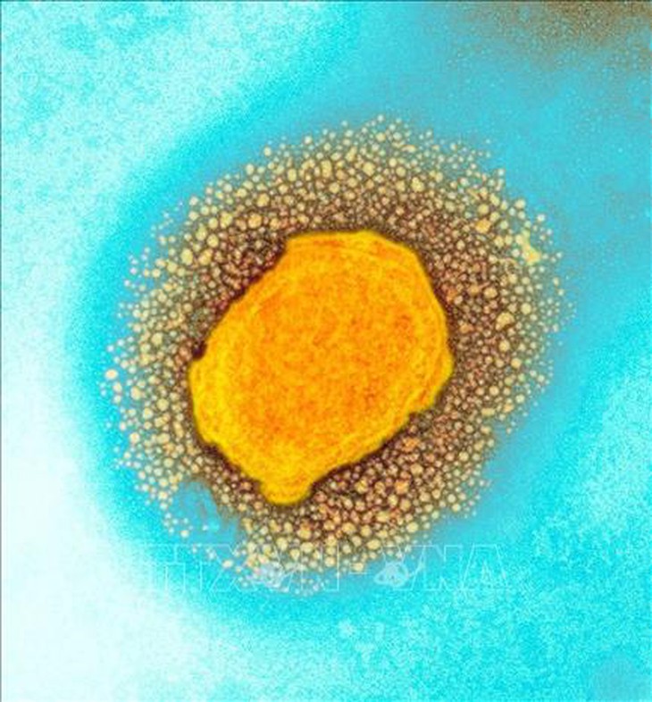 CDC Mỹ phân phối vaccine phòng bệnh đậu mùa khỉ cho những người có nguy cơ - Ảnh 1.