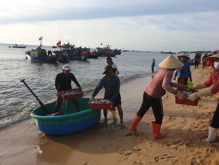 Ảnh: Huyên náo chợ cá bình minh trên bãi biển - Ảnh 6.