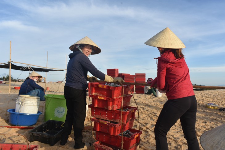 Ảnh: Huyên náo chợ cá bình minh trên bãi biển - Ảnh 11.