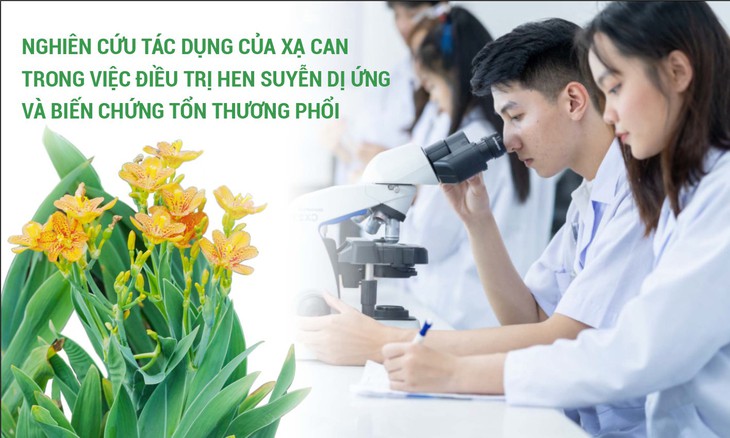 Phát hiện mới: xạ can có thể hỗ trợ giảm biến chứng tổn thương phổi - Ảnh 1.
