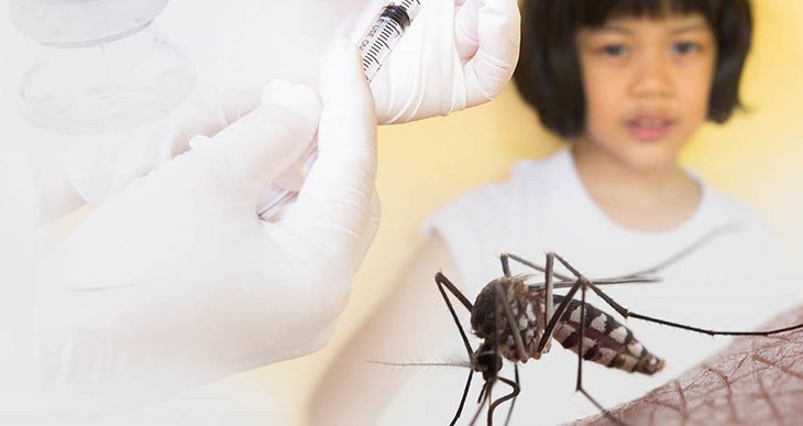 Sốt xuất huyết có thuốc điều trị và vaccine phòng bệnh? - Ảnh 1. Sốt xuất huyết có thuốc điều trị và vaccine phòng bệnh? - Ảnh 1.