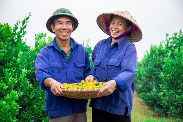 Người nông dân với kinh nghiệm trồng quất theo tiêu chuẩn quốc tế - Ảnh 1.