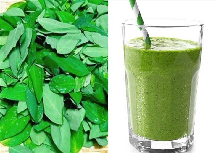 Uống nước ép rau ngót giảm cân sai cách gây ngộ độc - Ảnh 2.