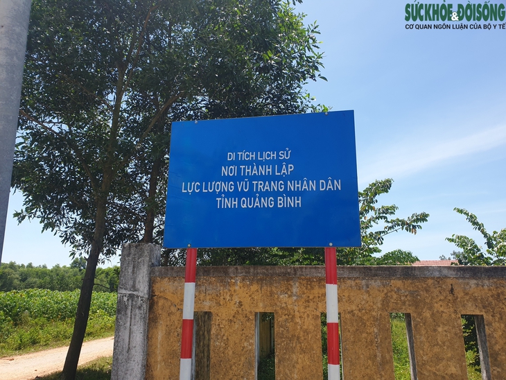 Ngôi miếu cổ nằm trong lòng cây sanh khổng lồ - Ảnh 14. Ngôi miếu cổ nằm trong lòng cây sanh khổng lồ - Ảnh 14.