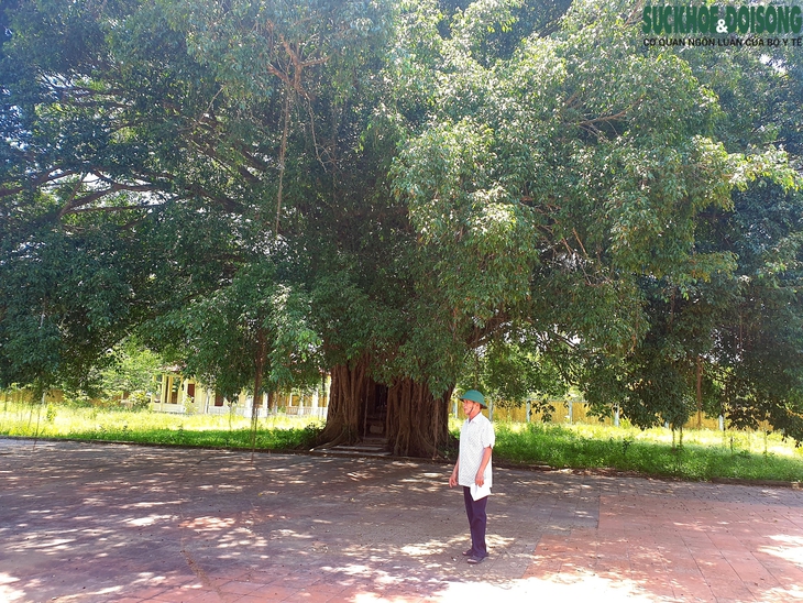 Ngôi miếu cổ nằm trong lòng cây sanh khổng lồ - Ảnh 6. Ngôi miếu cổ nằm trong lòng cây sanh khổng lồ - Ảnh 6.