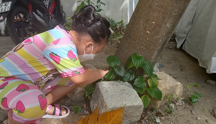 Người dân và học sinh cùng chủ động diệt muỗi, lăng quăng để phòng sốt xuất huyết - Ảnh 3.