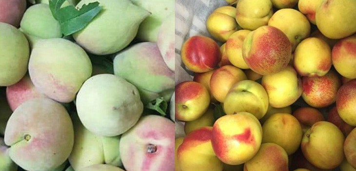 Những lưu ý không nên bỏ qua khi ăn quả đào - Ảnh 10.